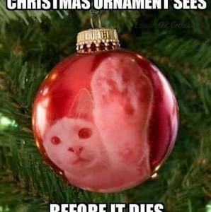 Meet your Posher, Claire